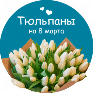 Купить тюльпаны в Беломорске